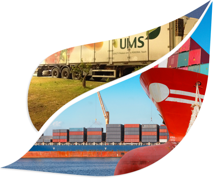 Logistics