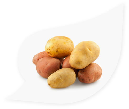 Potatoes