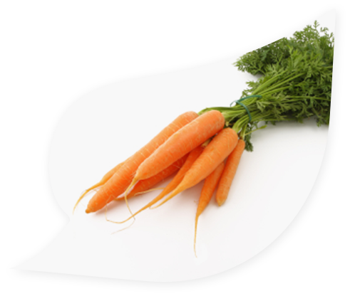 Carrot