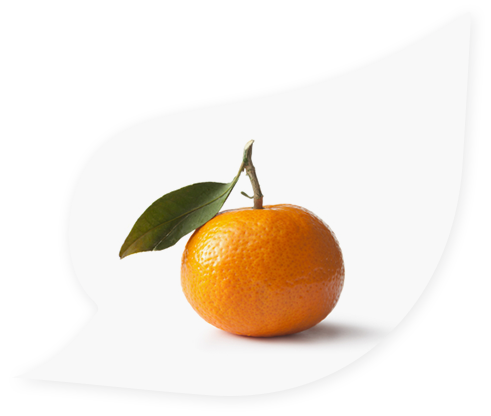 Easy peelers