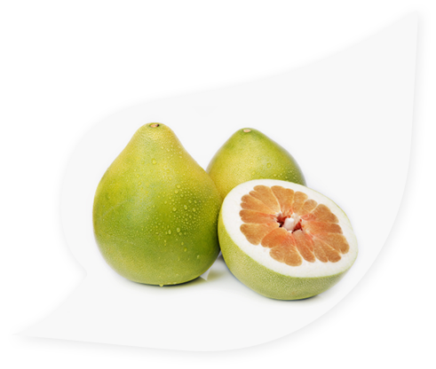 Pomelo