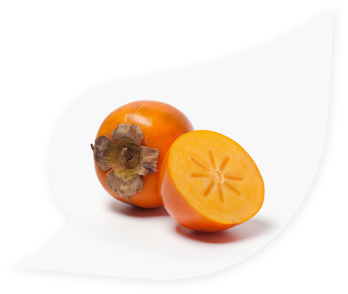 Persimmon