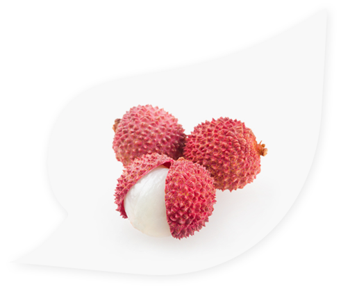 Lychee