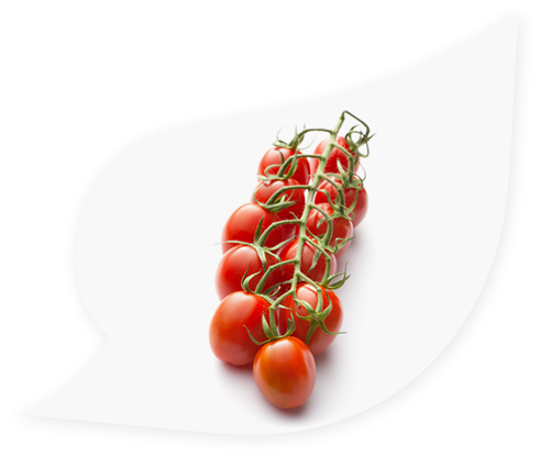 Cherry tomatoes