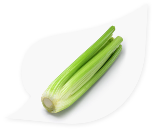 Celery